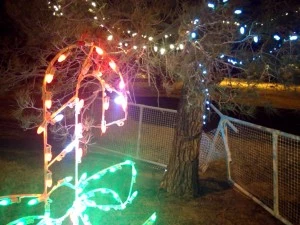 The Worst Christmas Light Show of the Year shawver park Christmas lights,worst Christmas lights,KLAQ Christmas lights,KLAQ Christmas lights Shawver Park,Shawver Park,Christmas lights,bad Christmas lights El Paso