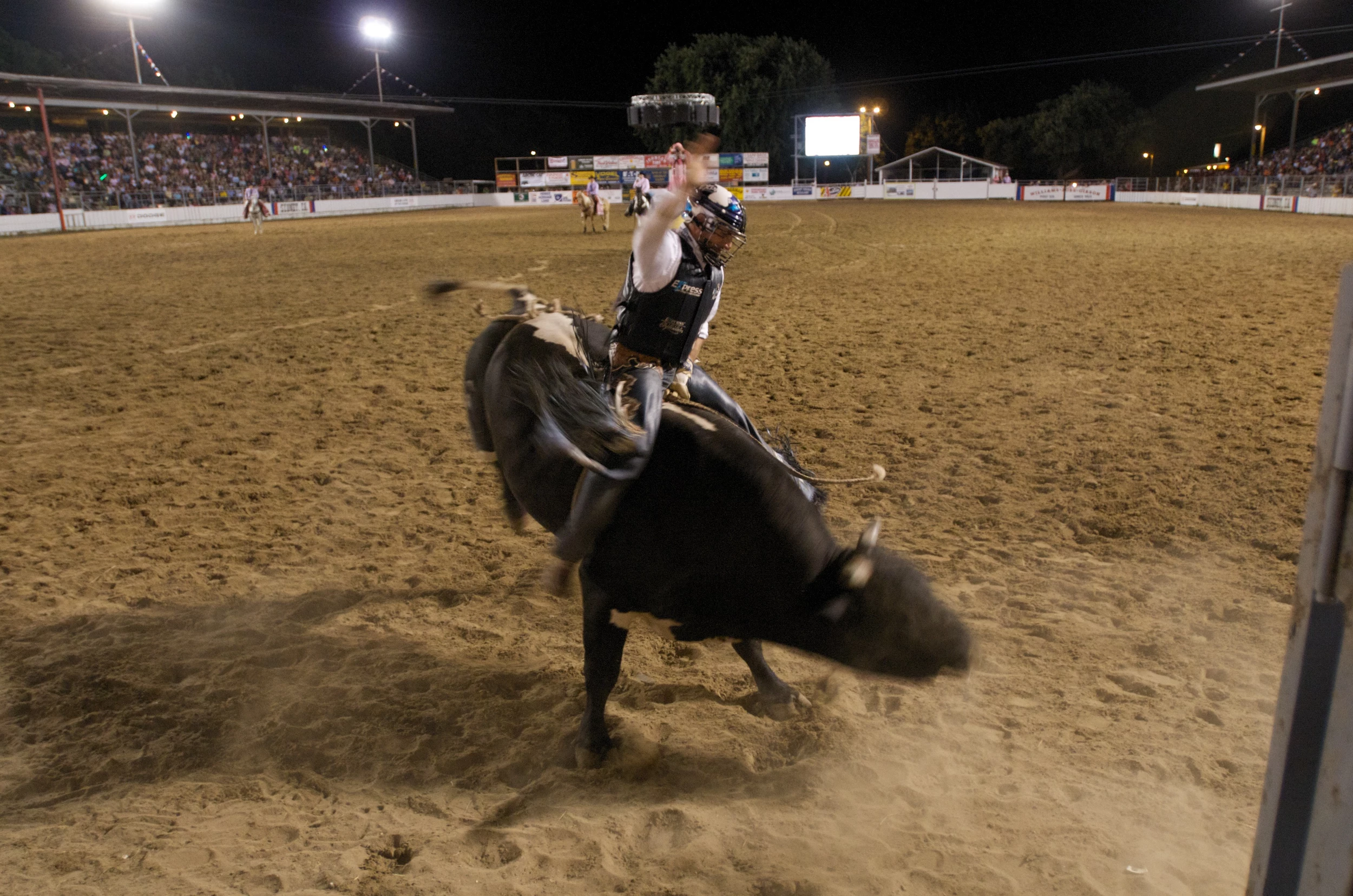 Play Pro Bull Rider Or Gay Porn Star