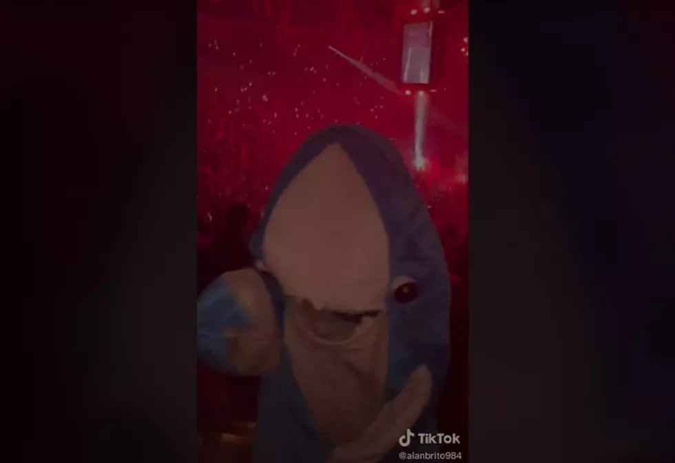 What Are the Most Liked El Paso TikTok Videos You Can Find